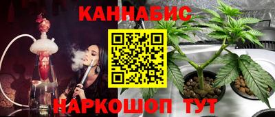 СК Краснодар