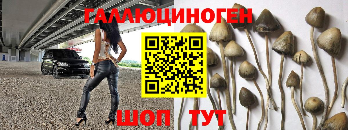 Галлюциногенные грибы GOLDEN TEACHER  Псилоцибиновые грибы Psilocybe  Вход с VPN  Кисловодск 