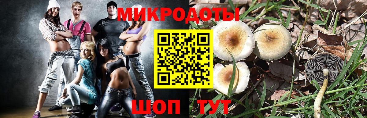 Галлюциногенные грибы мухоморы Кисловодск
